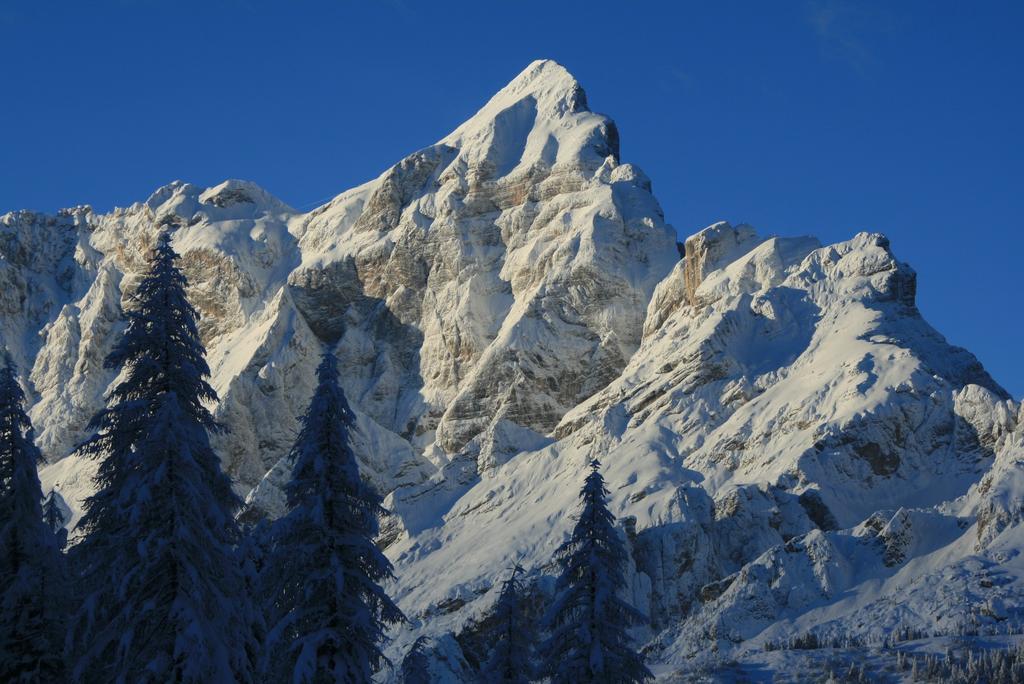 Отель Rifugio Passo Staulanza Цольдо-Альто Экстерьер фото